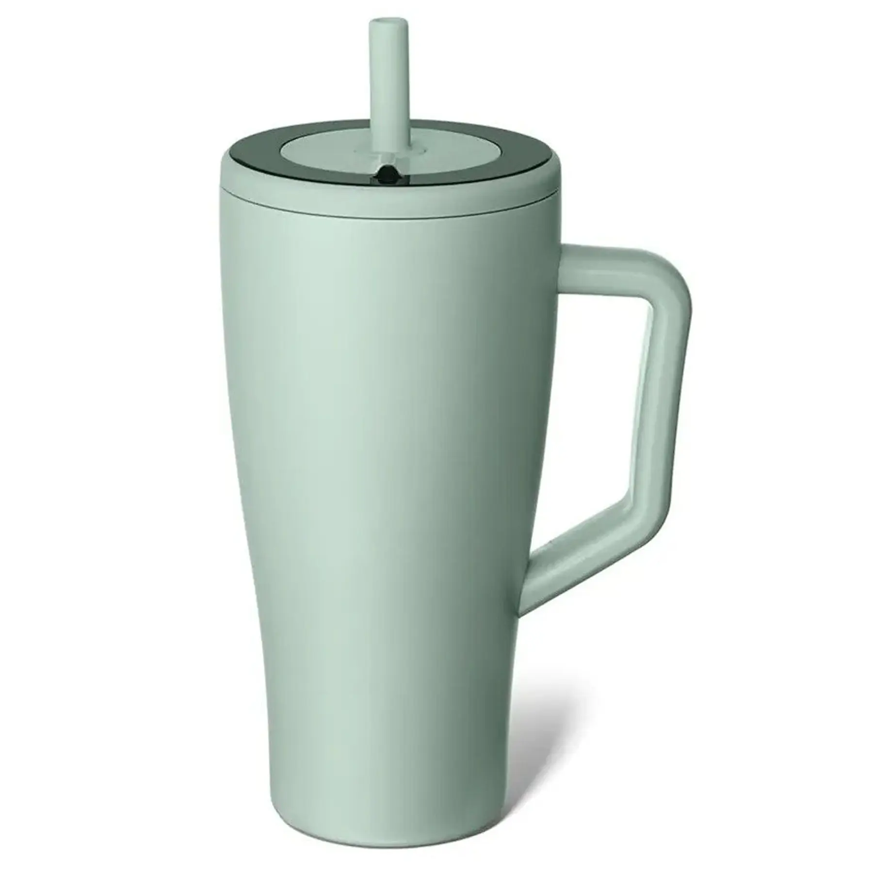 Premium Insulated Travel Bottle with Handle and Straw
