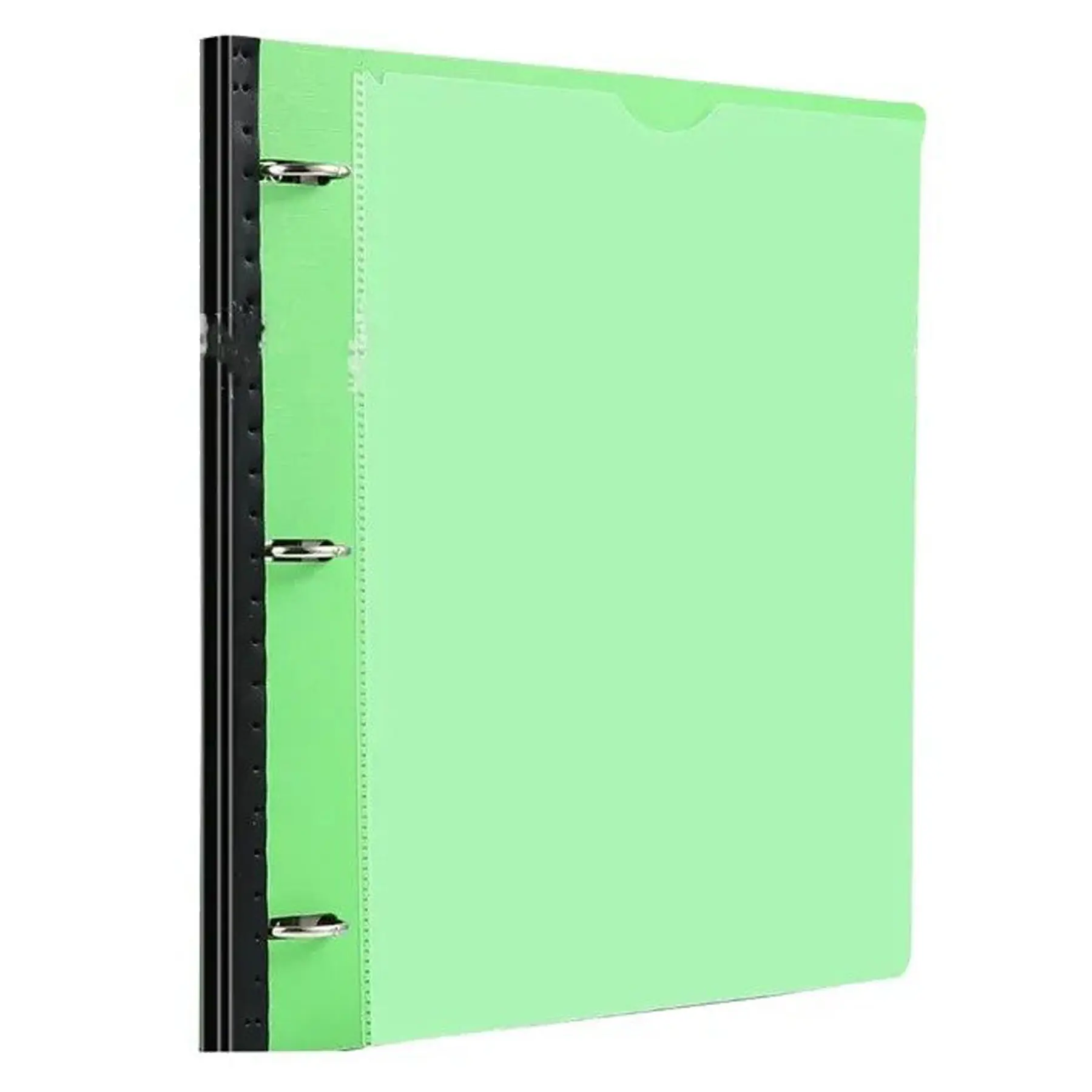 Multicolor Document Organizer