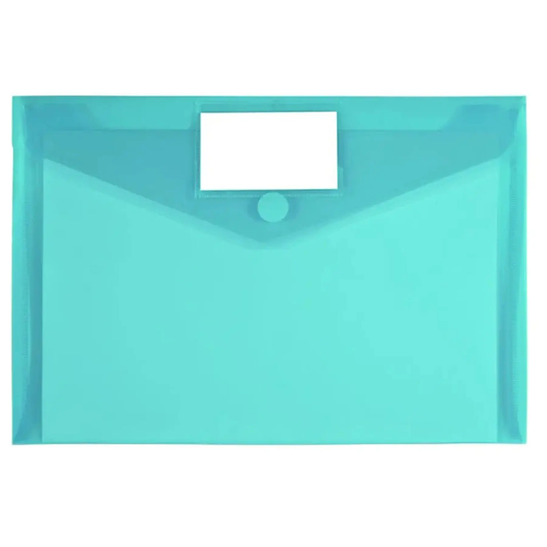 Clear Document Organizer with Label Slot