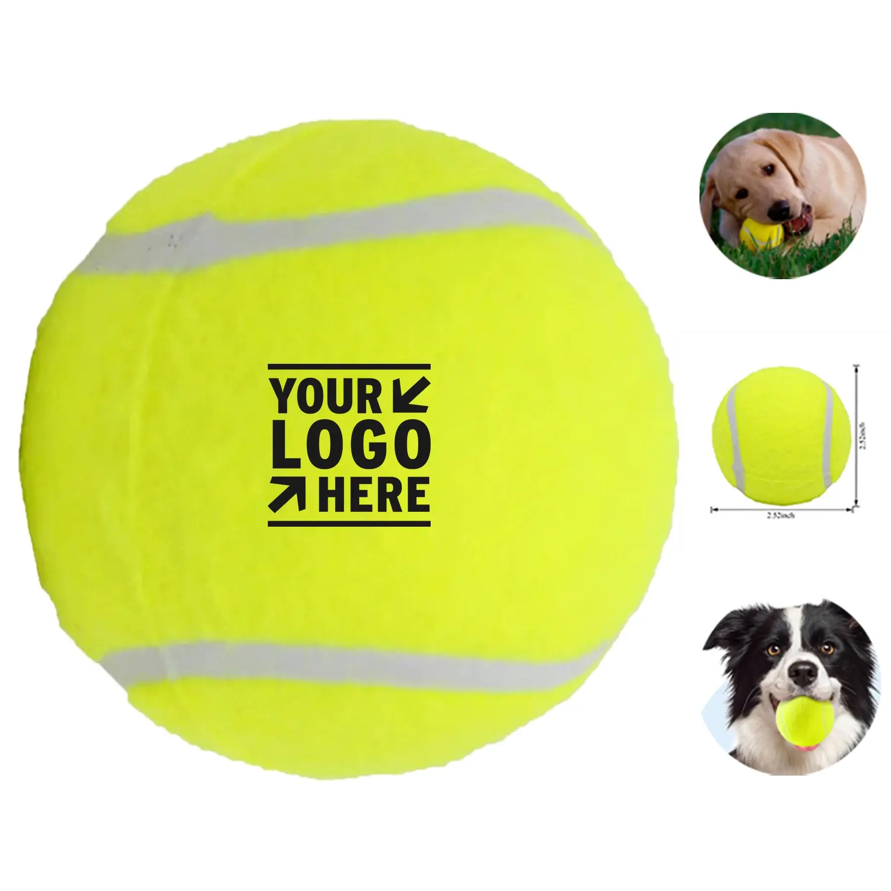 Animal Play Ball 2