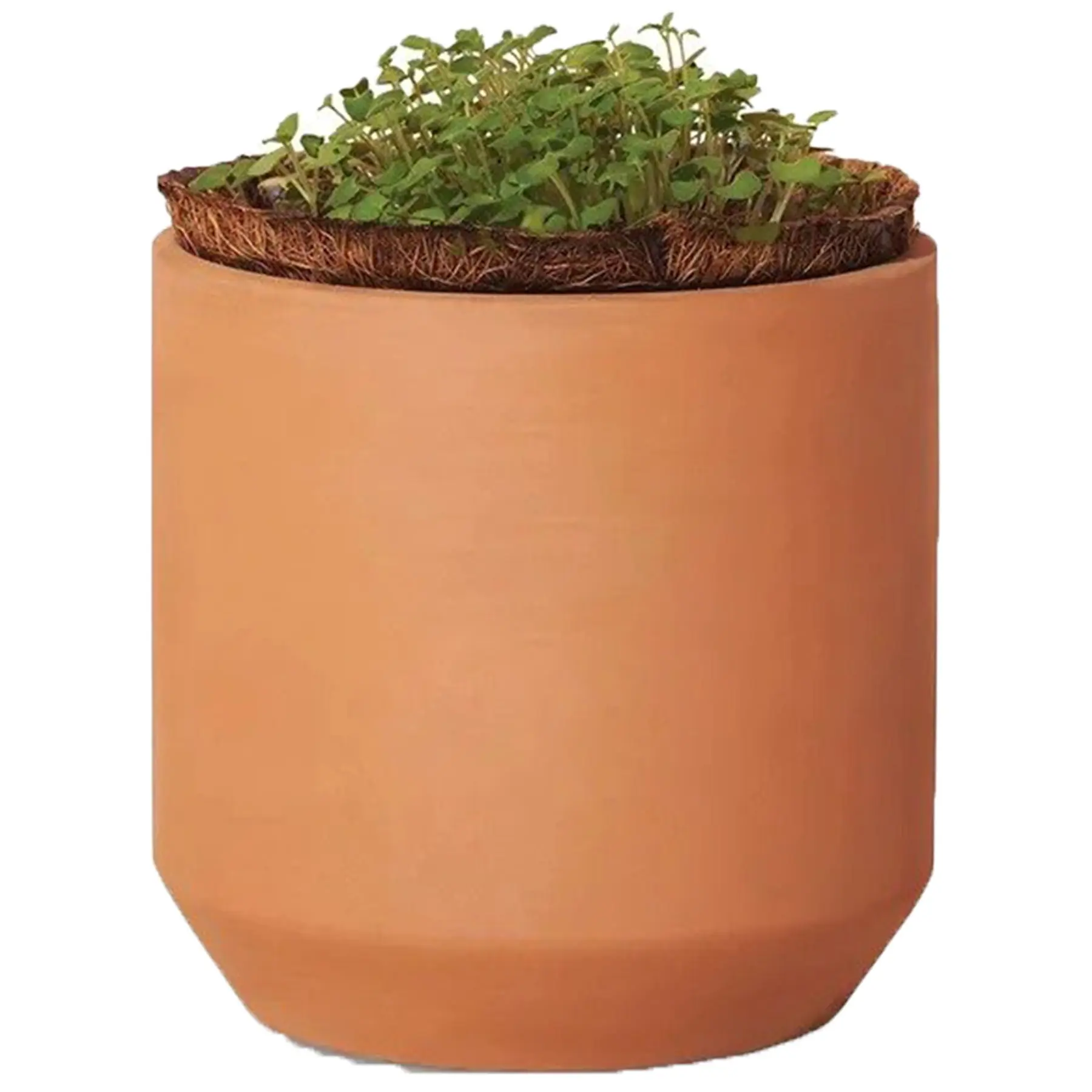 Mini Clay Daisy Garden Kit