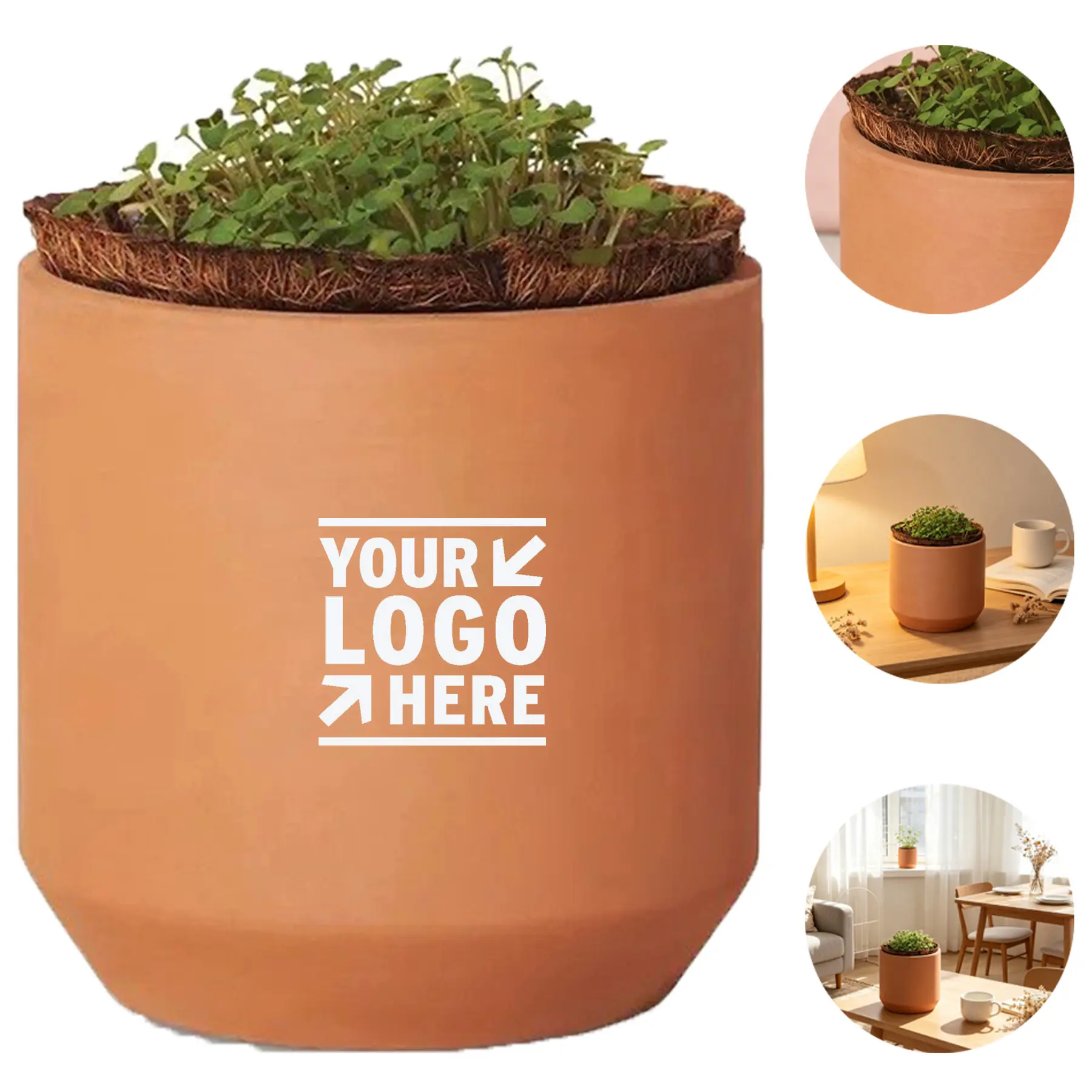 Mini Clay Daisy Garden Kit 2