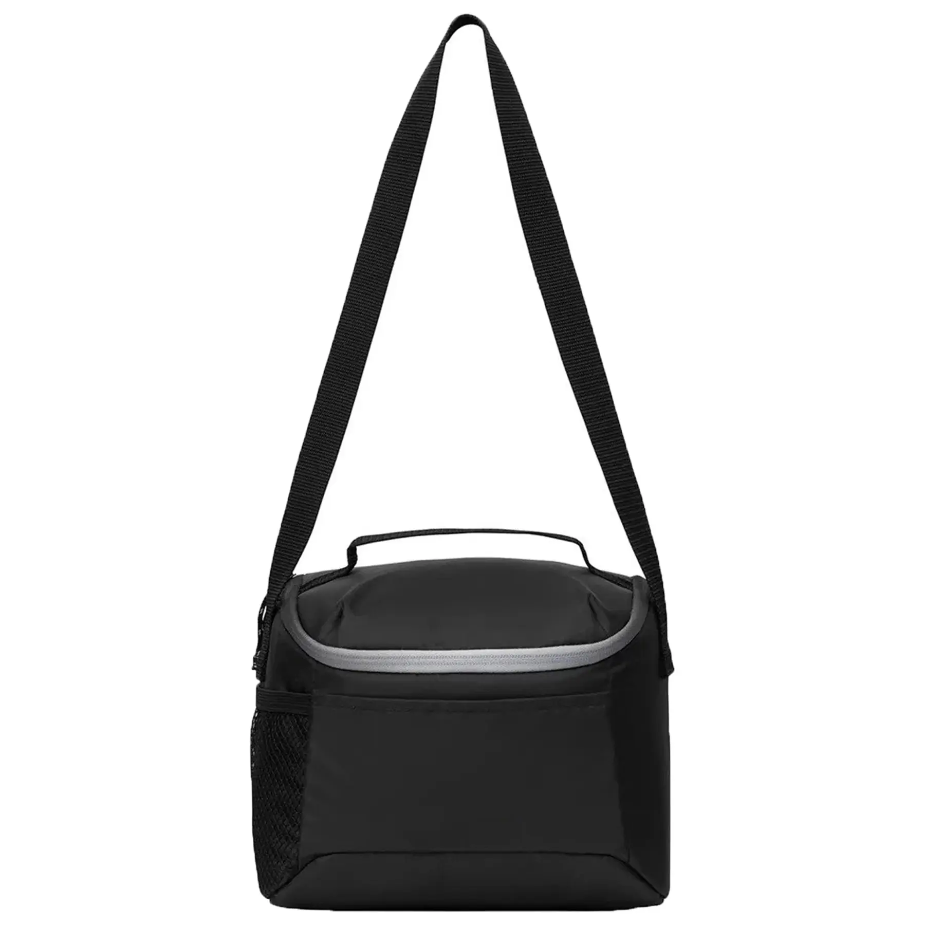 Lunar Insulated Beverage Carrier