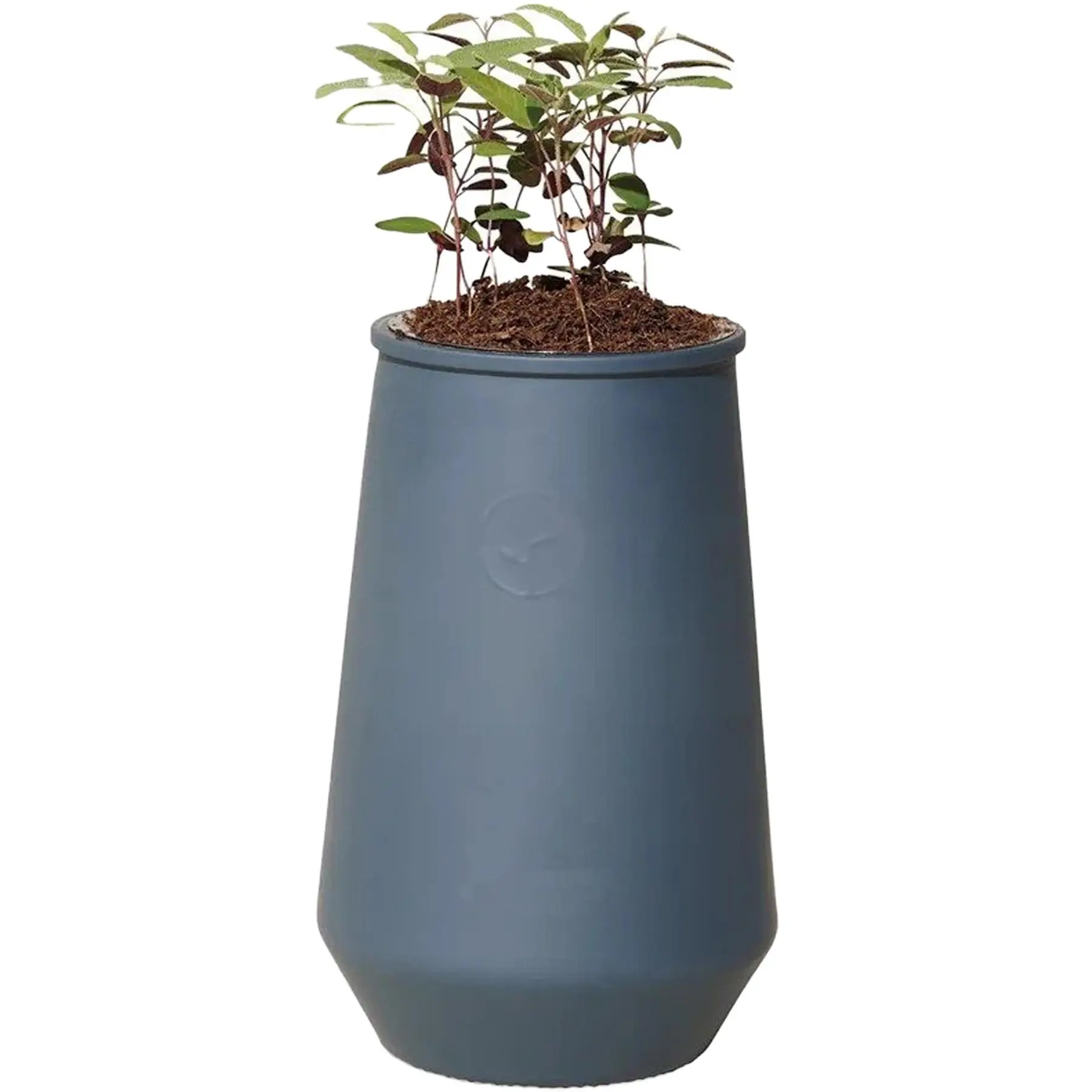 Urban Sprout Hydroponic Planter Kit