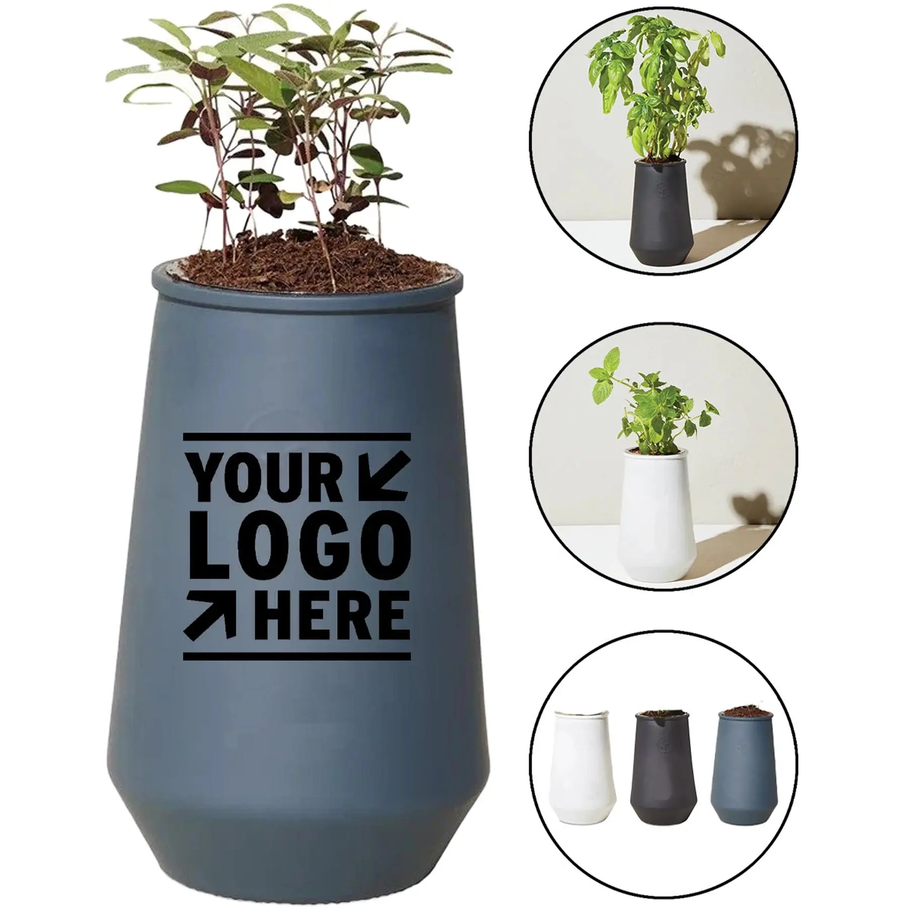 Urban Sprout Hydroponic Planter Kit 2