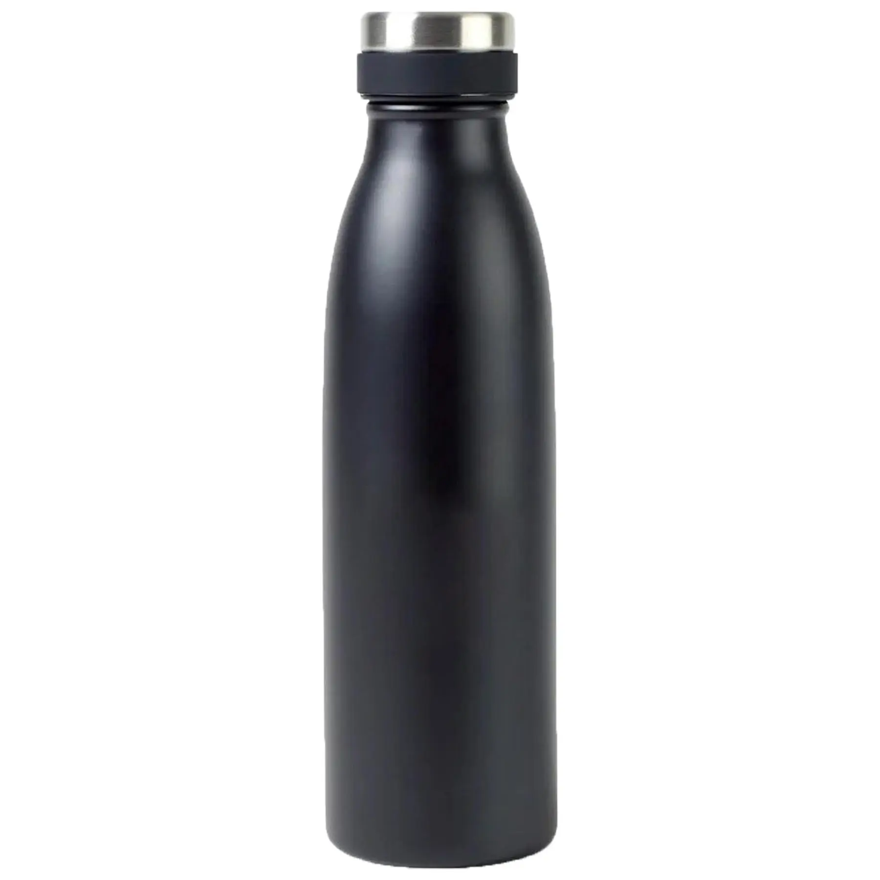 Aviana Palmer Dual-Wall Beverage Bottle