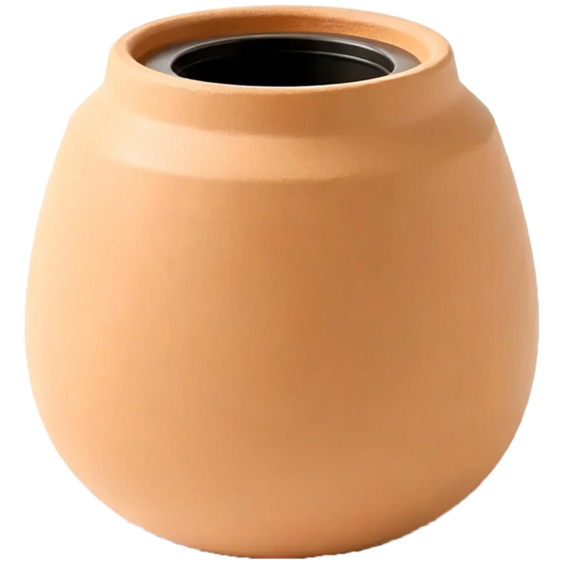Desert Bloom Terracotta Cactus Kit
