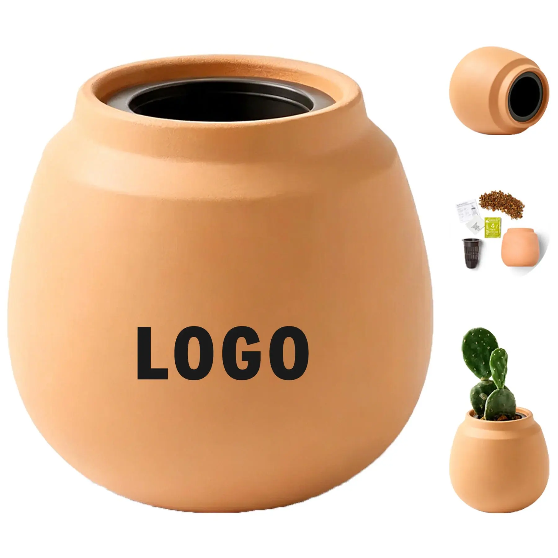 Desert Bloom Terracotta Cactus Kit 2