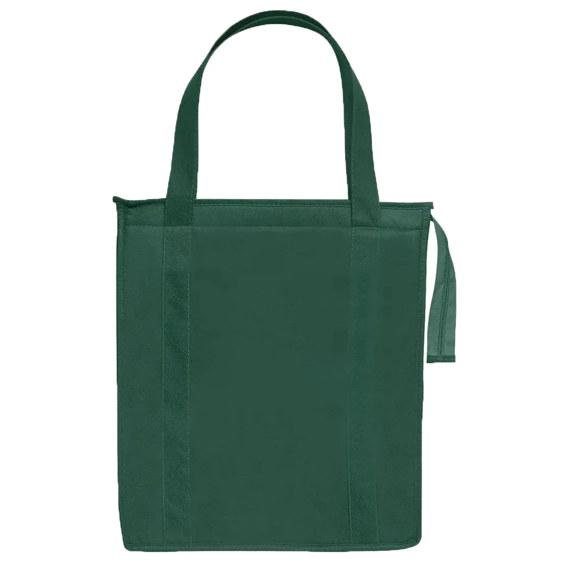 Vibrant Insulated Carryall