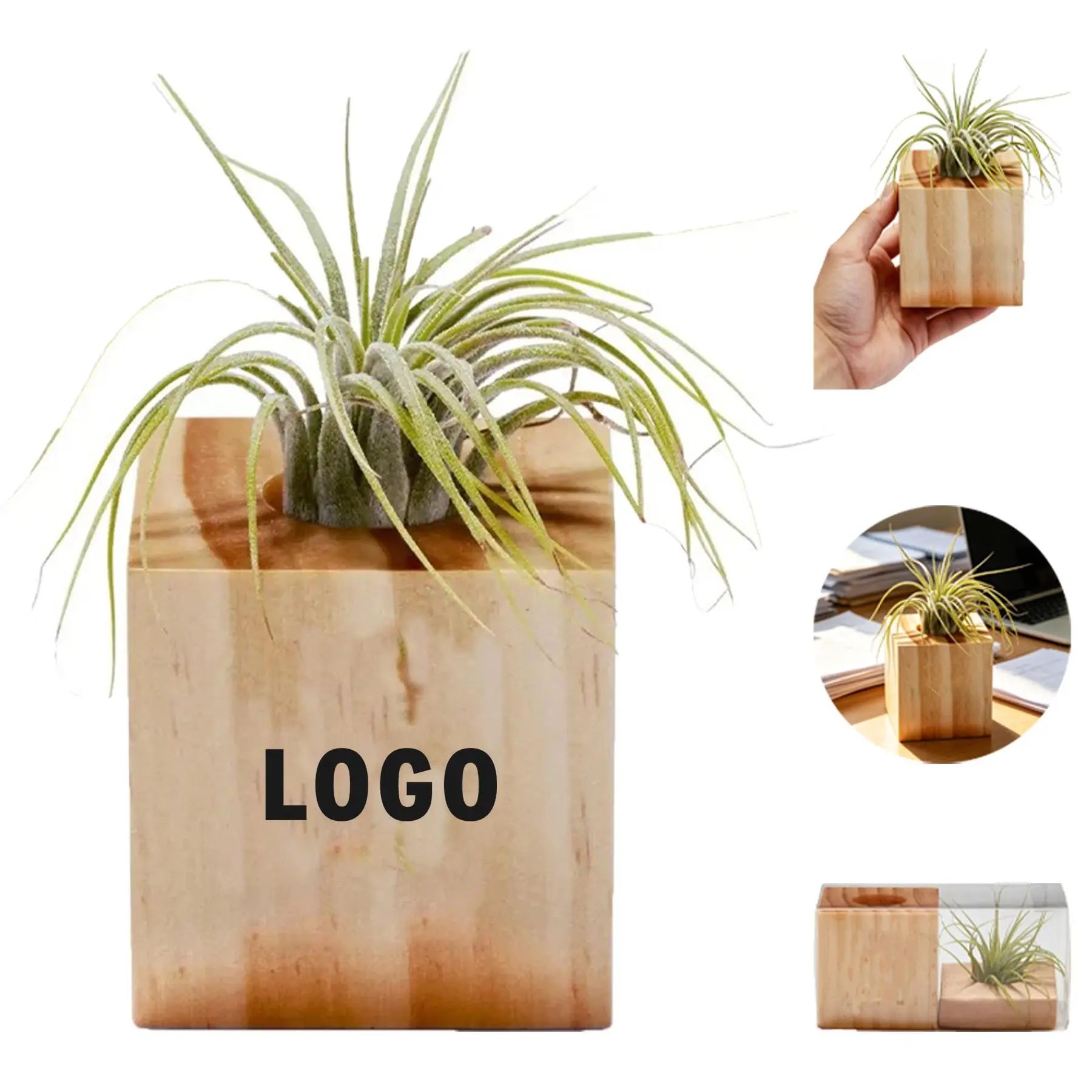 Botanical Display 2