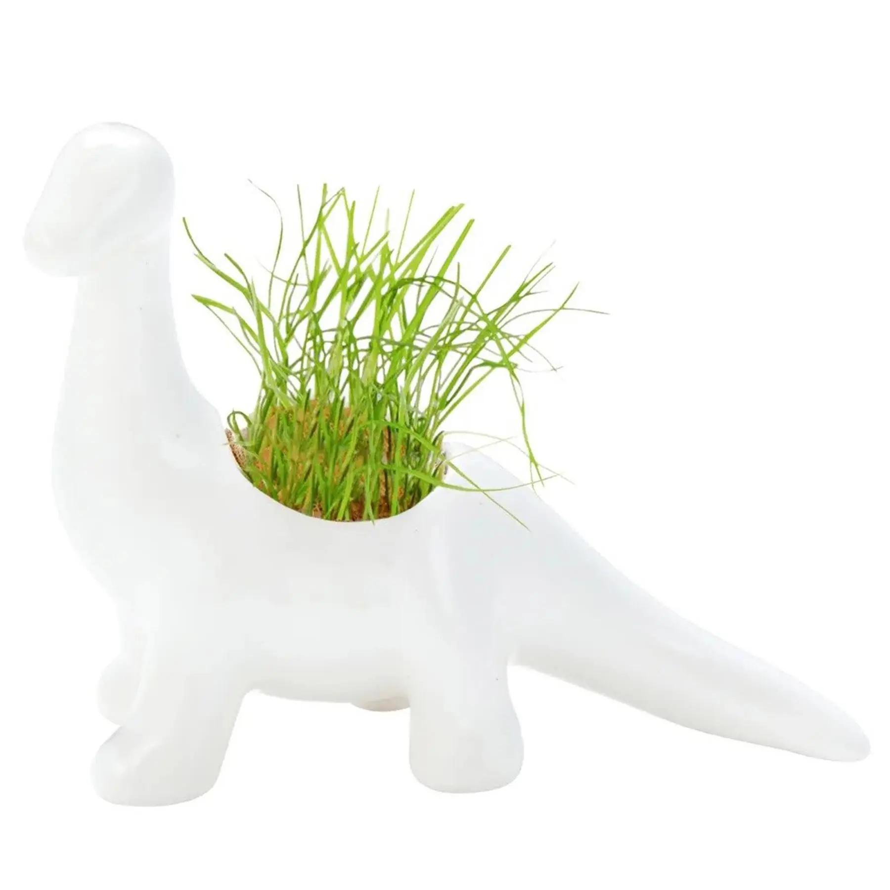 Prehistoric Grass Planter