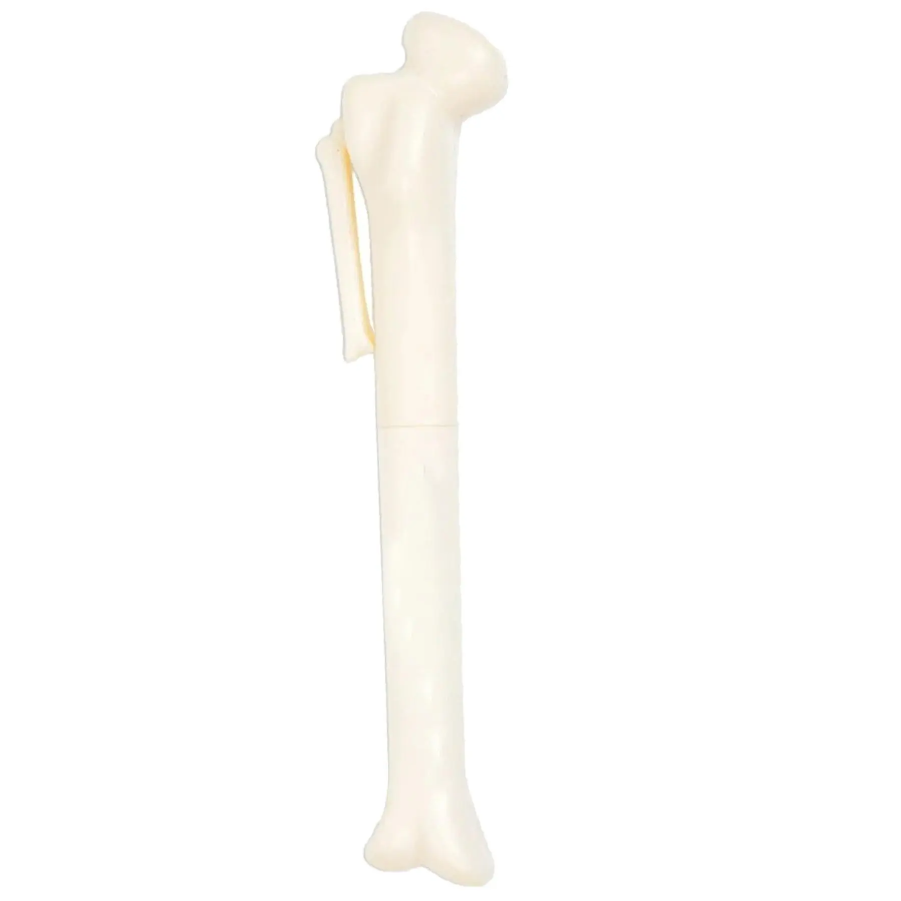 Anatomical Writing Instrument