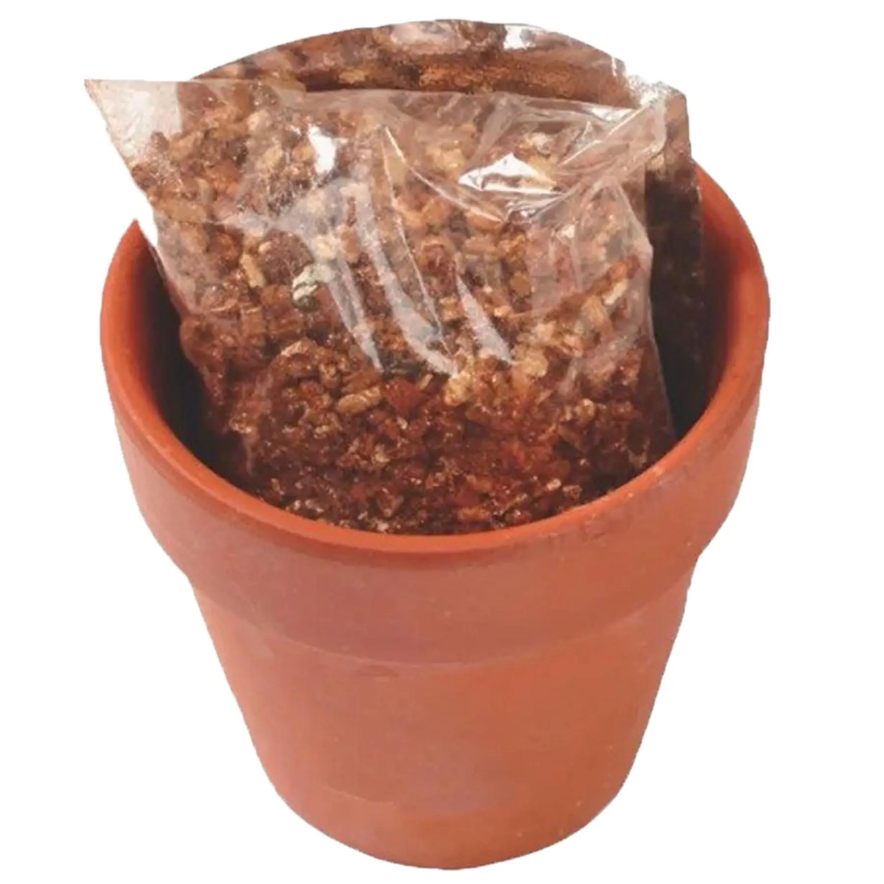 Eco-Friendly Miniature Planter Kit
