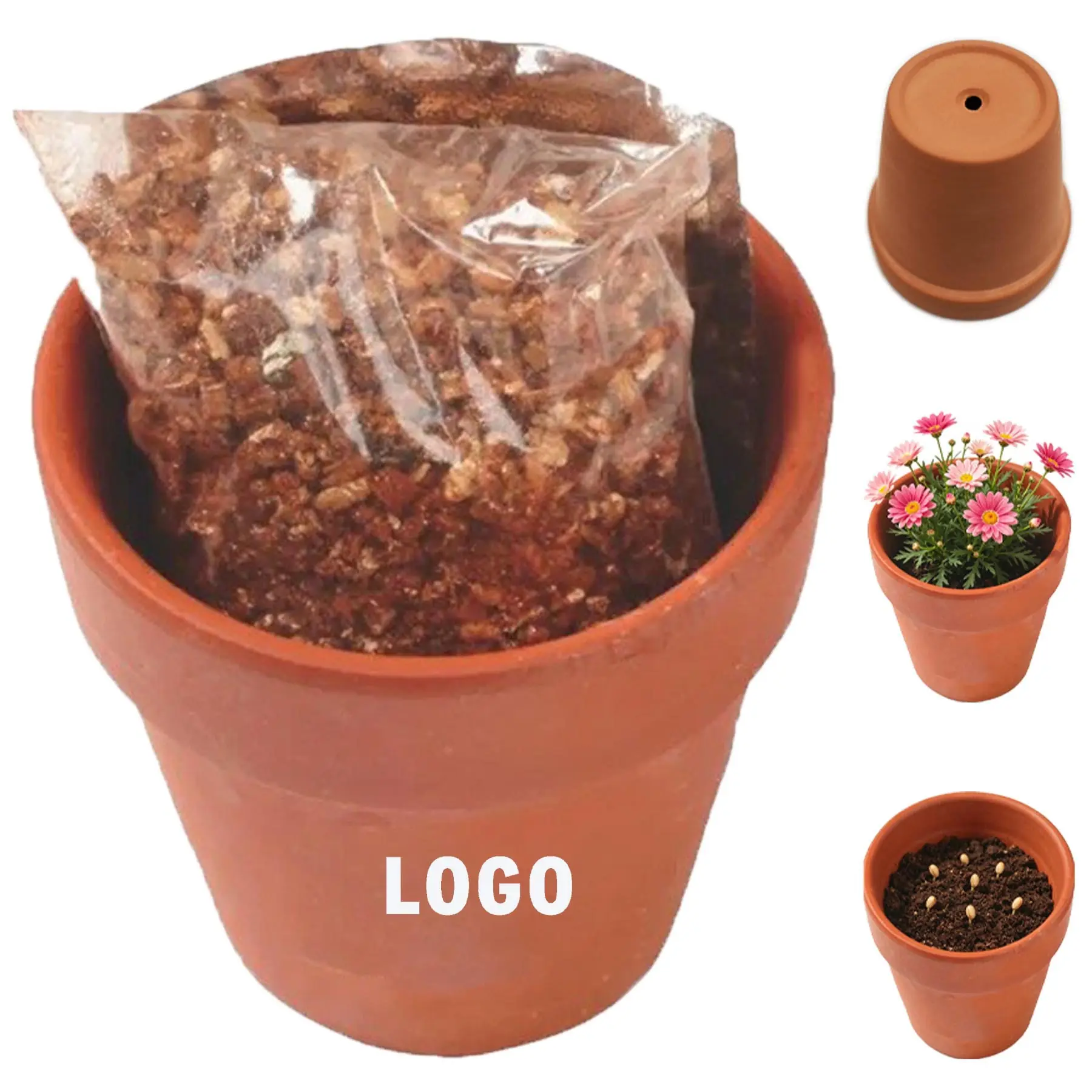 Eco-Friendly Miniature Planter Kit 2