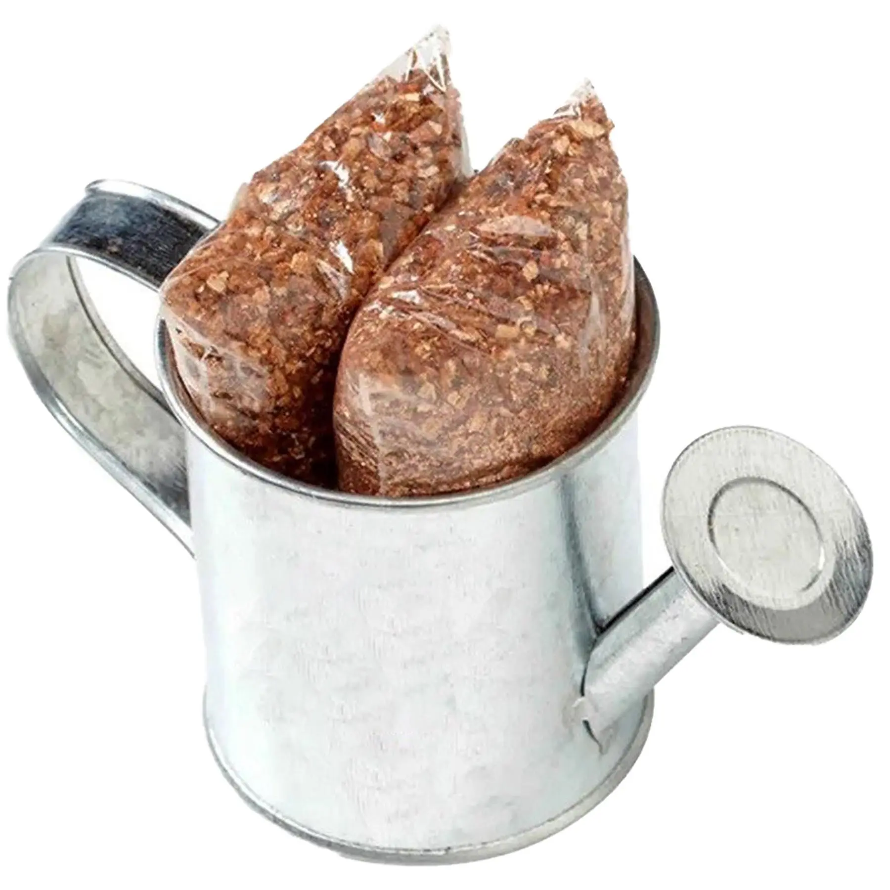 Eco-Friendly Seed Starter Kit