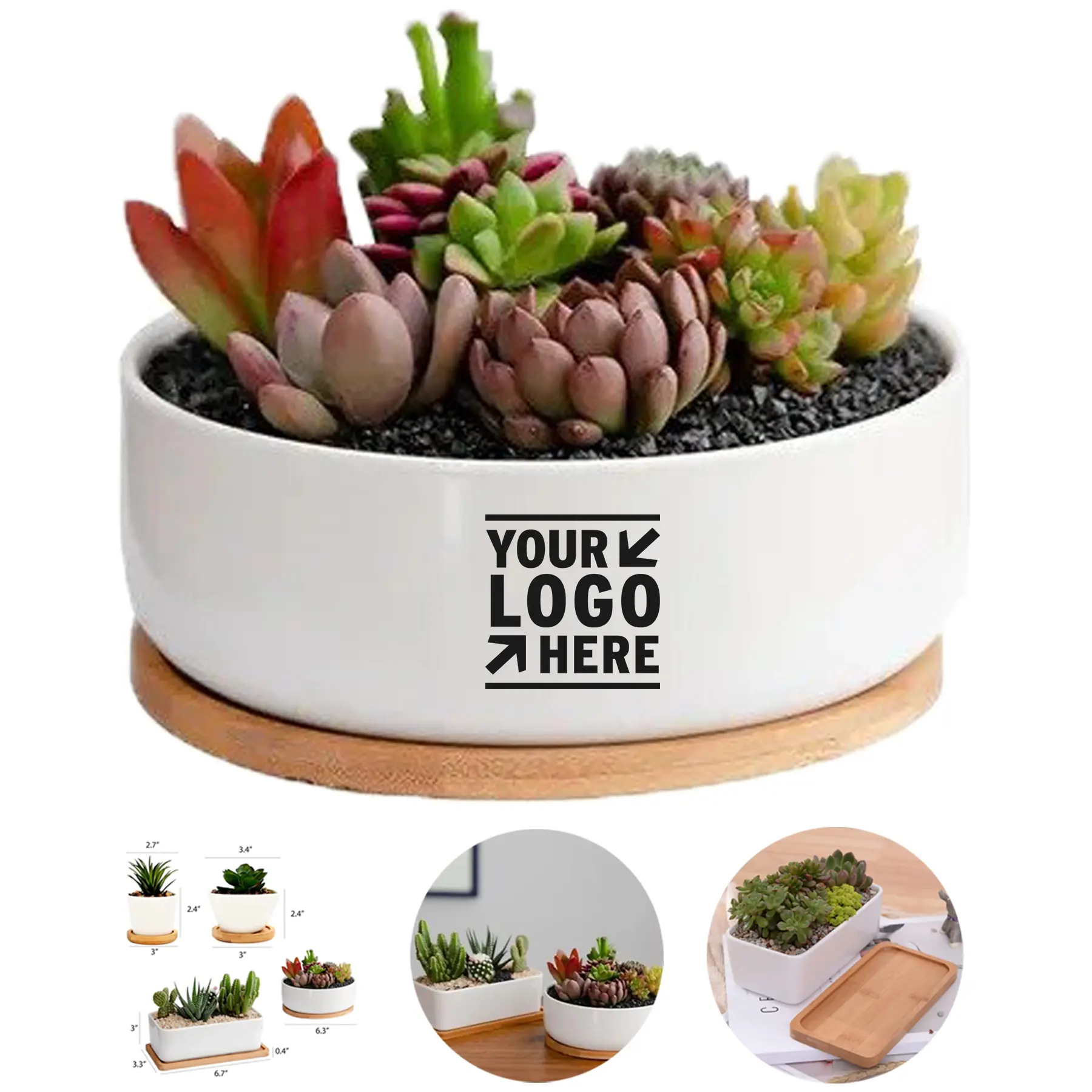 Elegant Ceramic Succulent Planter 2