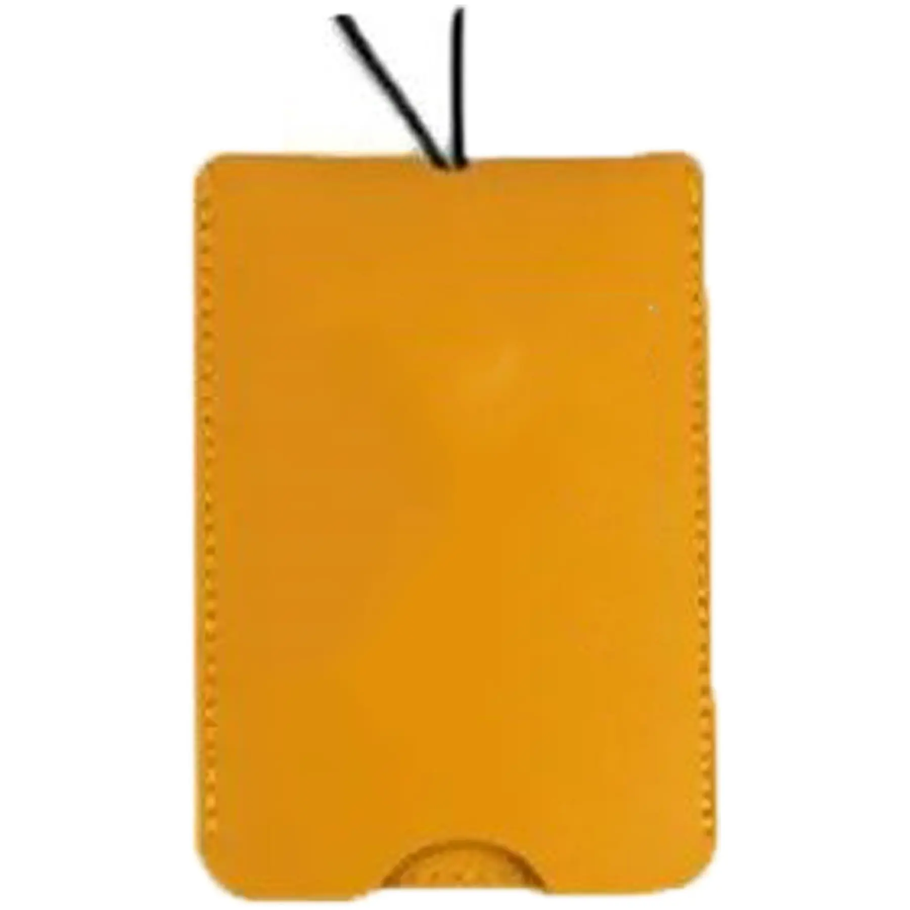 Travel Identifier Tag