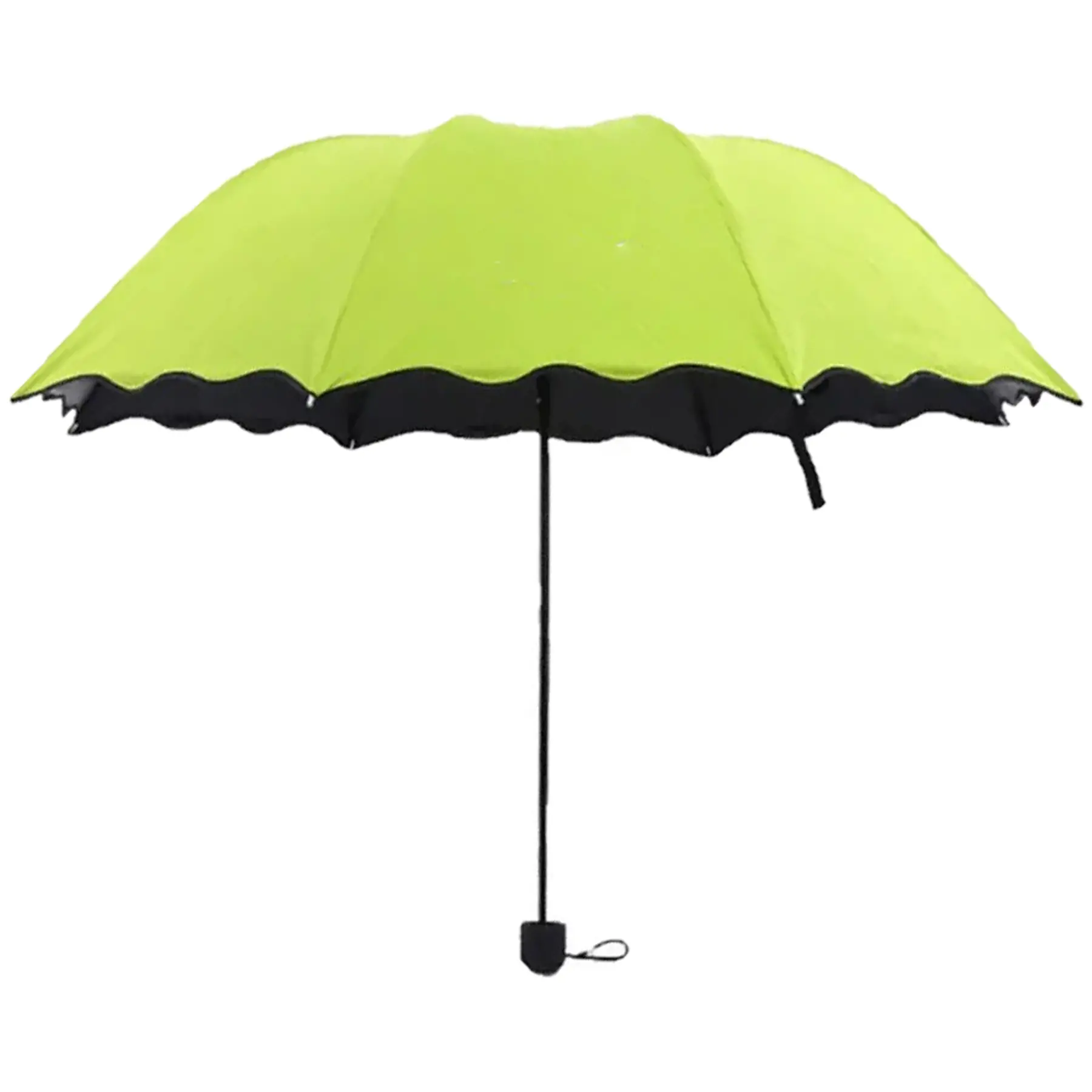 Compact Travel Sunshade
