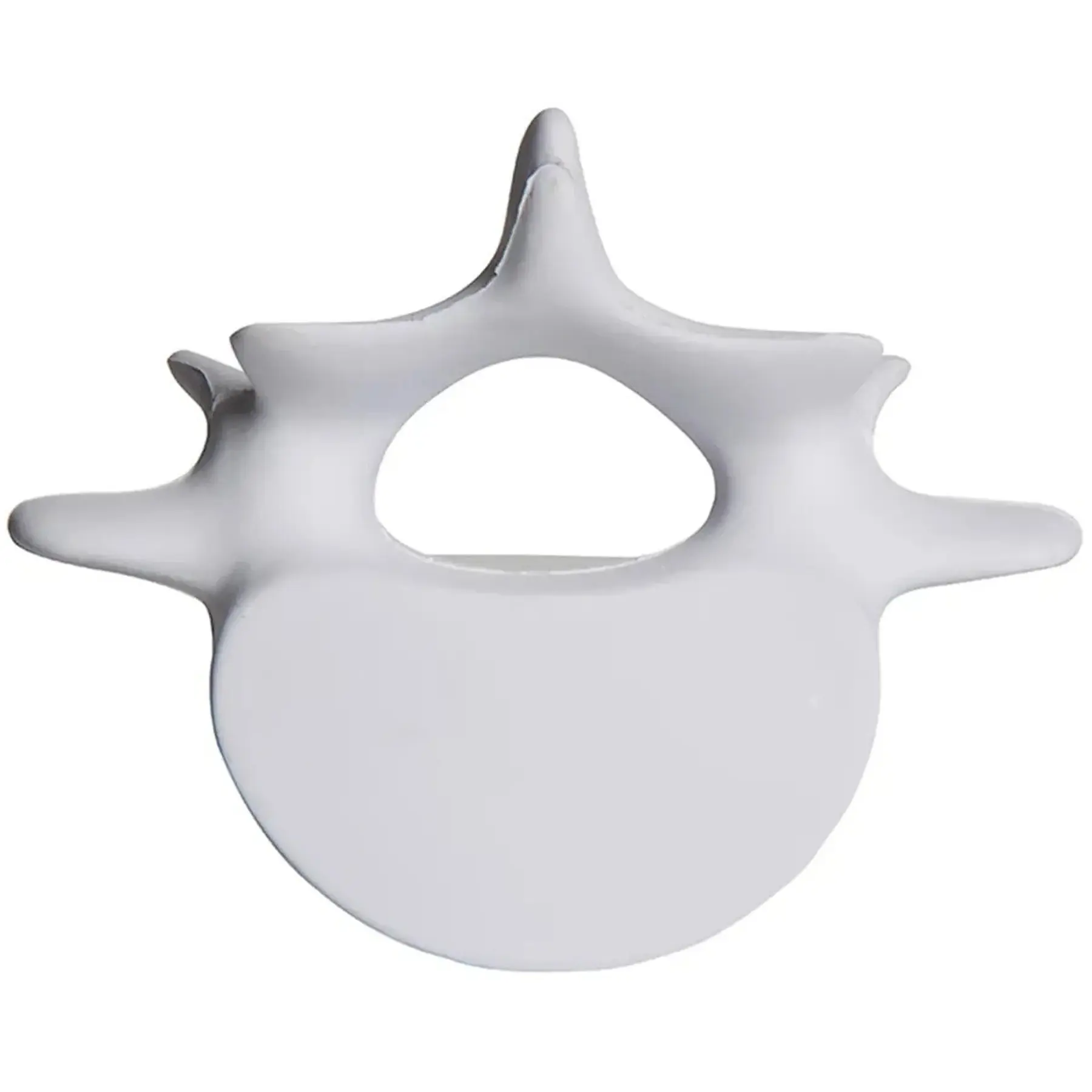 Personalized Vertebrae Stress Ball