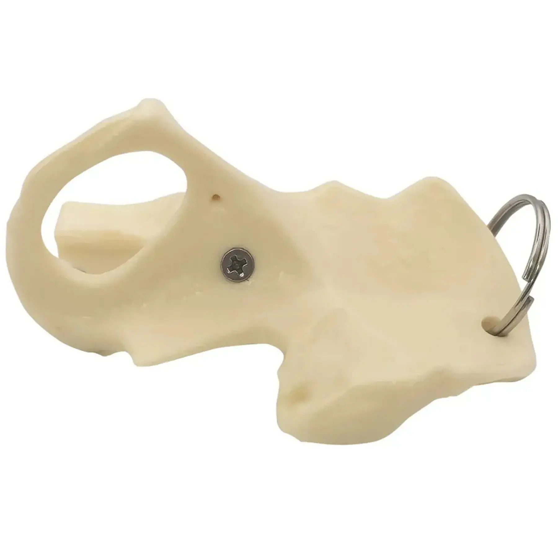 Movable Hip Joint Keychain Anatomical Skeleton Key Ring
