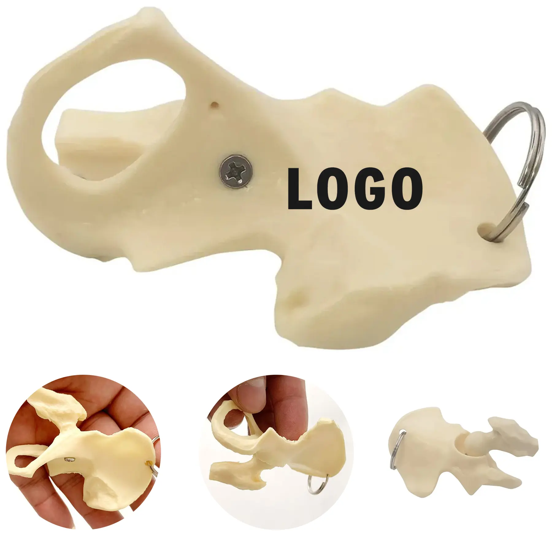 Movable Hip Joint Keychain Anatomical Skeleton Key Ring 2
