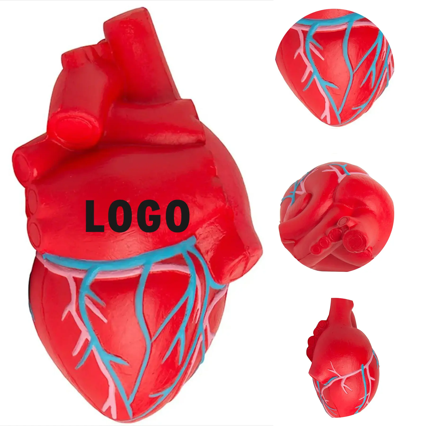 Anatomical Heart Vein Stress Ball 2