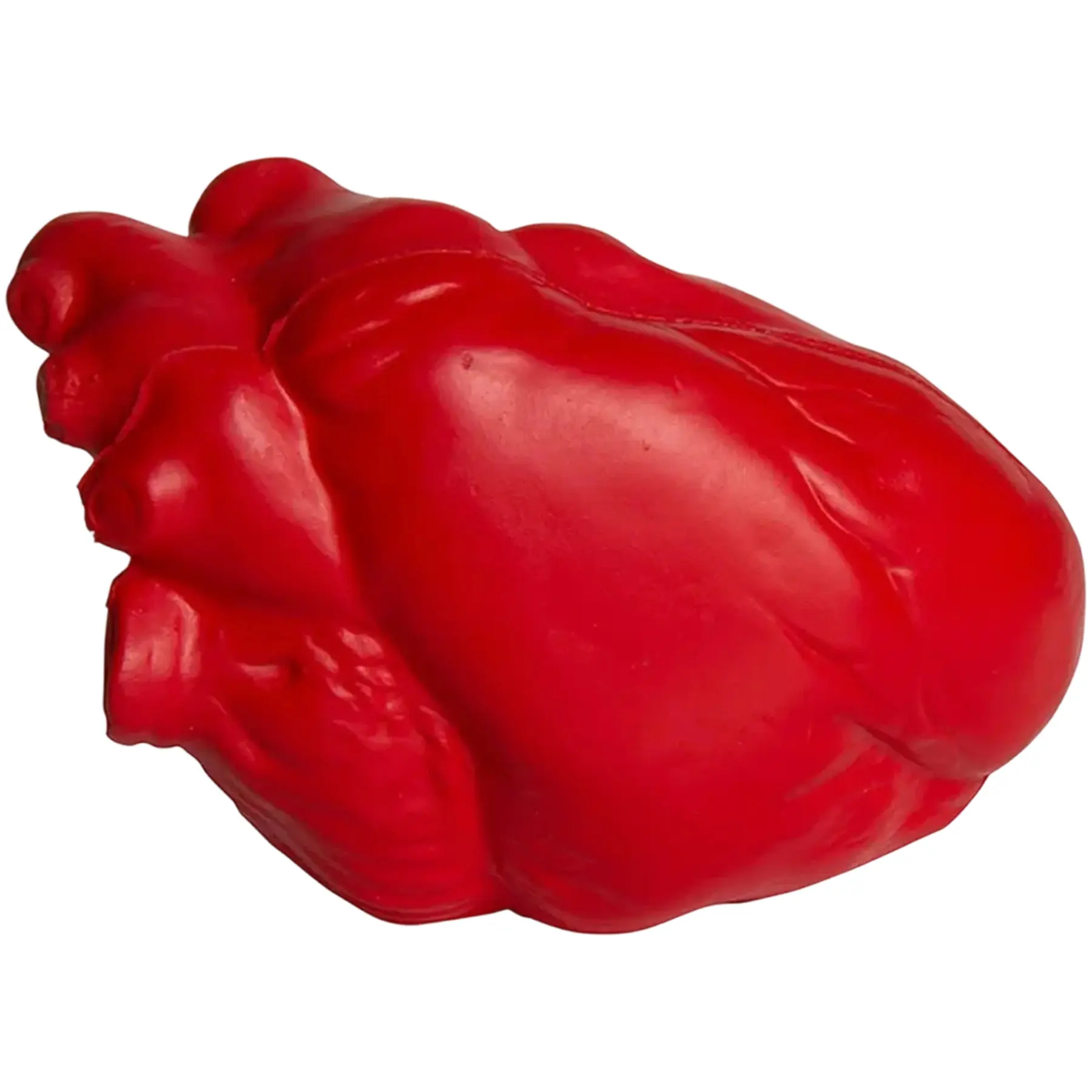 Anatomical Heart Stress Relief Squeeze Toy Custom Logo