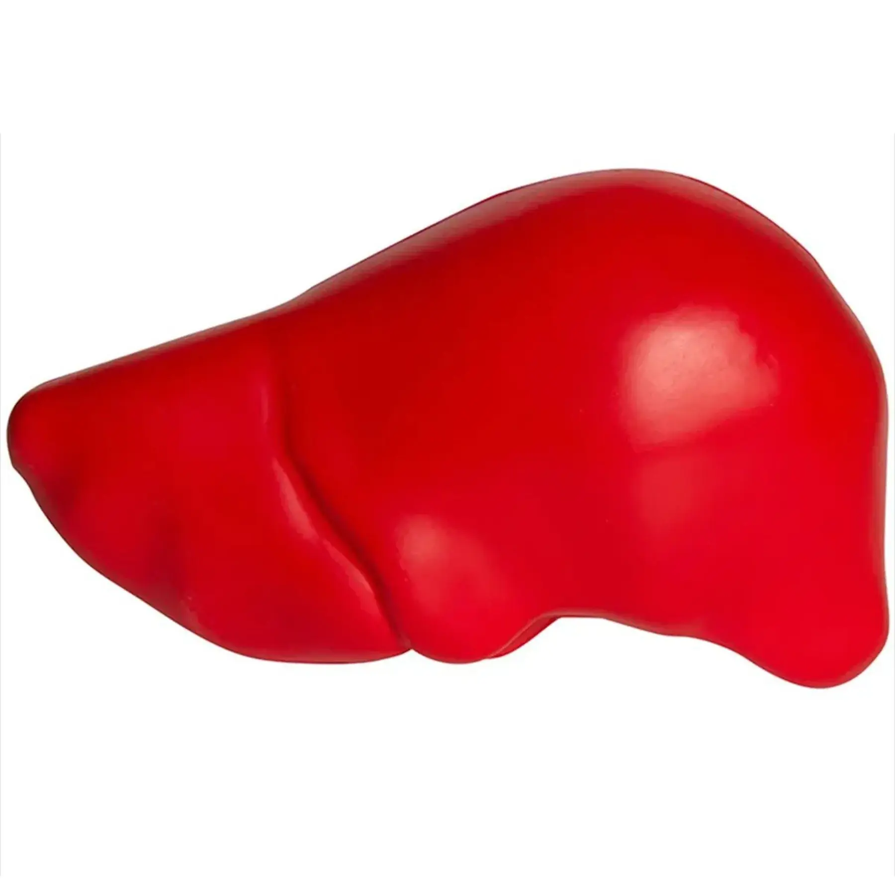 Personalized Liver Shaped Stress Relief Squeeze Toy