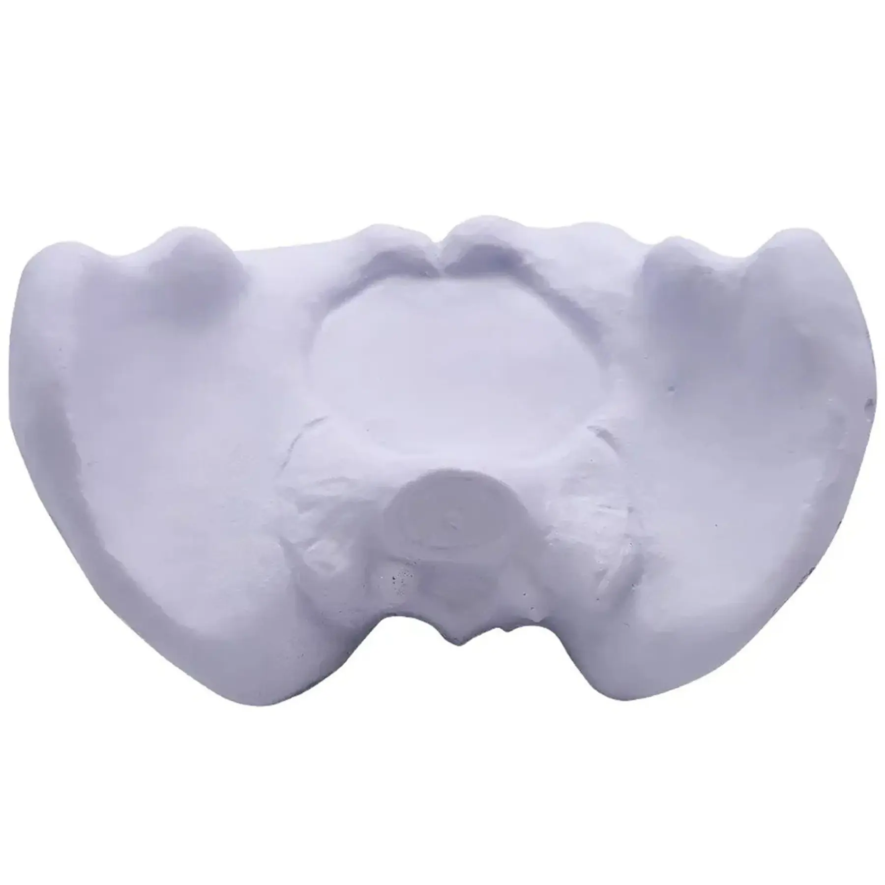 Stress Relief Pelvis Shaped Squeeze Toy for Medical Promotions