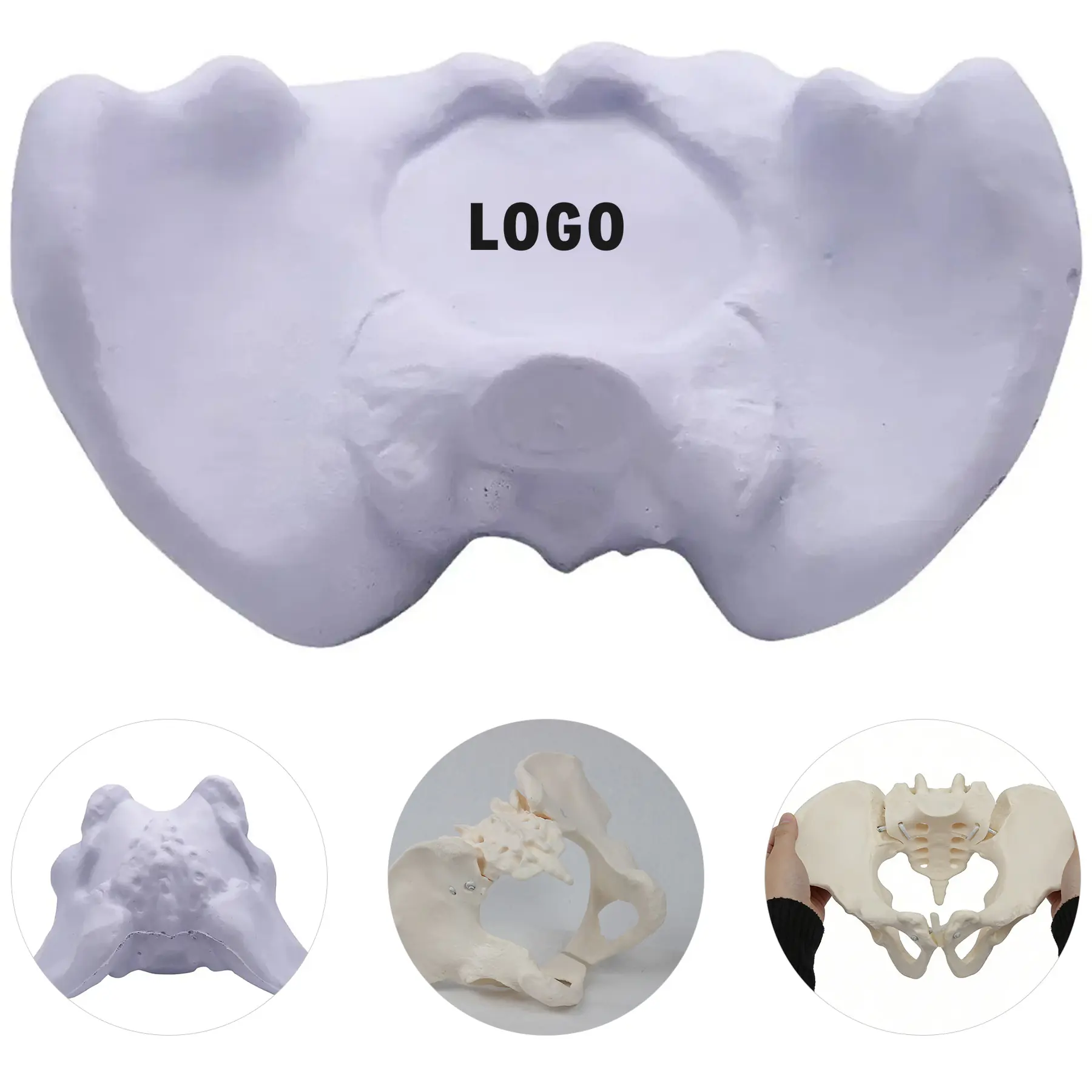Stress Relief Pelvis Shaped Squeeze Toy for Medical Promotions 2