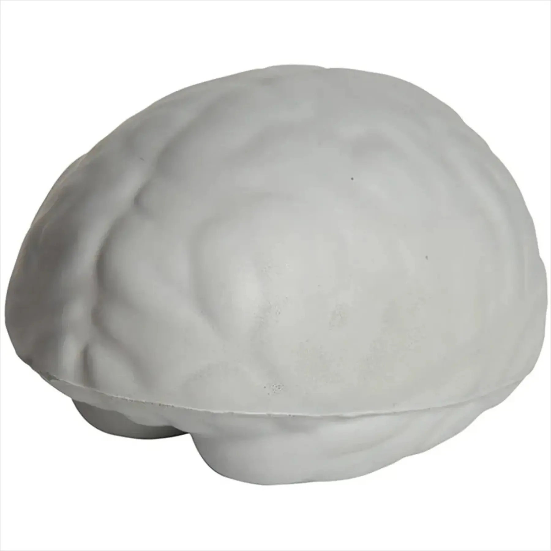 Slow Rebound Foam Brain Stress Reliever