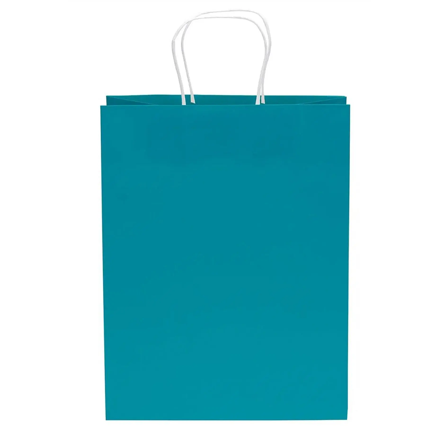 Assorted Color Paper Bags Twisted Handle Matte Finish
