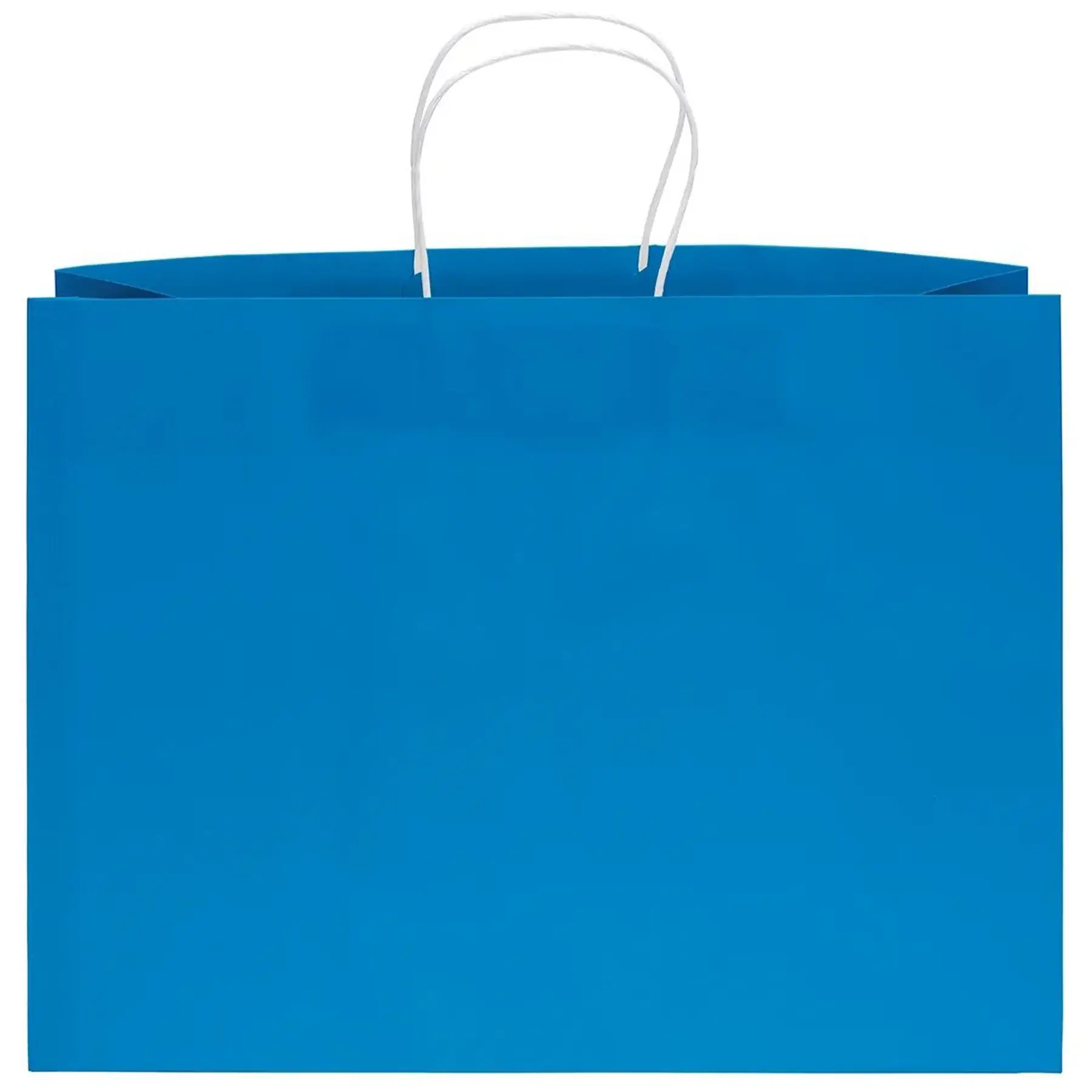 Foil Print Matte Paper Gift Bags Fold Top Twisted Handles