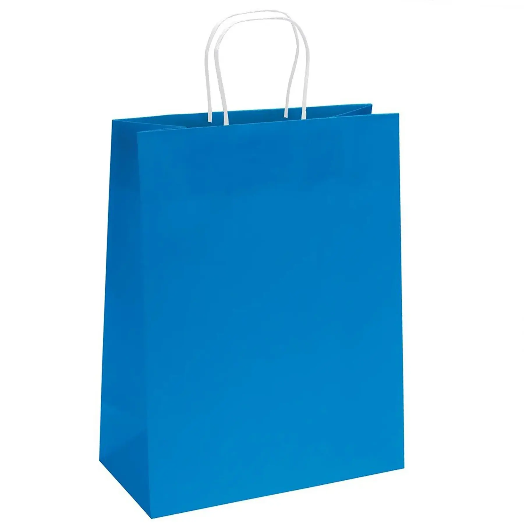 Foil Printed Matte Paper Gift Bags 3 Pack with Twisted Handles