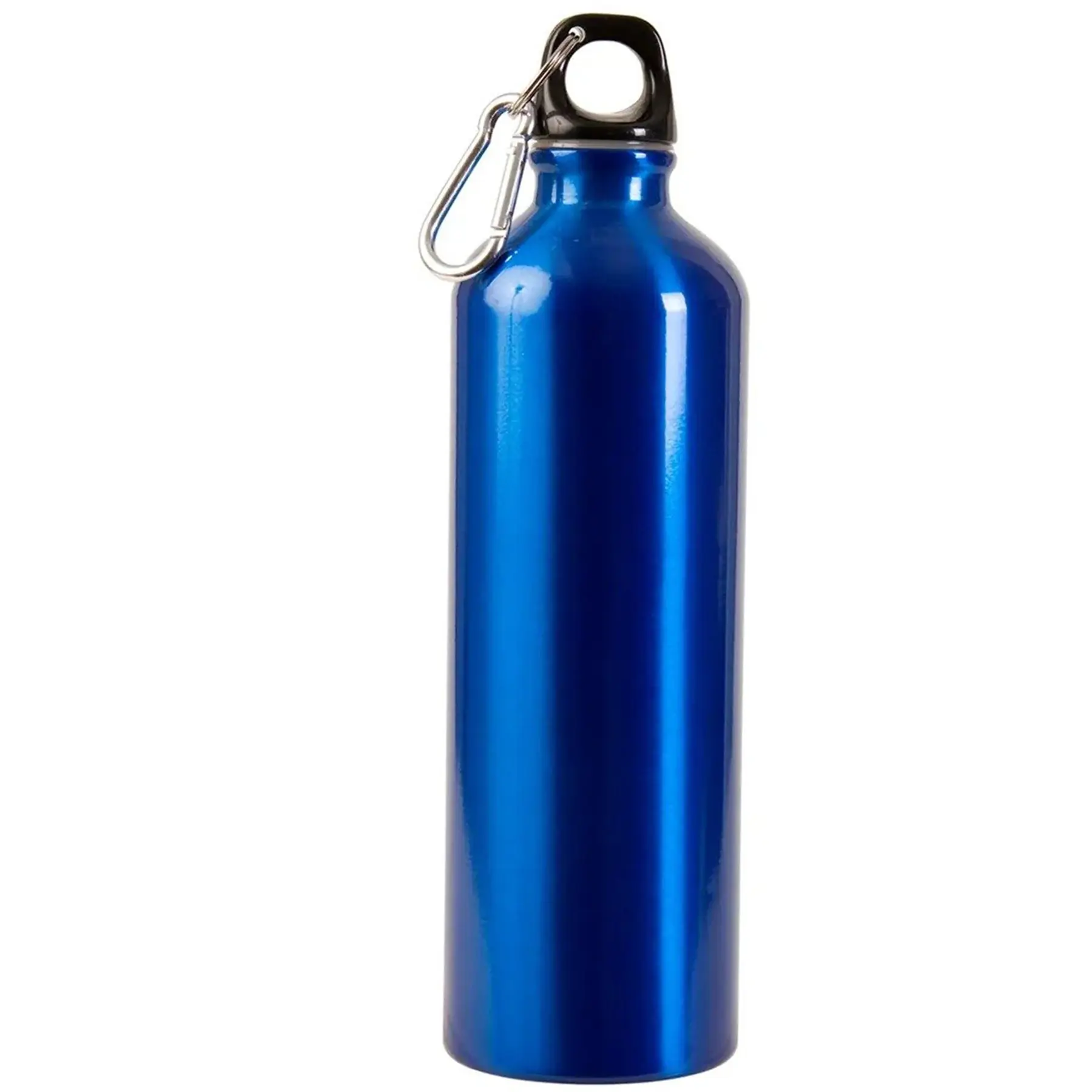Alpine 25 Ounce Aluminum Sport Bottle Leakproof Cap Carabiner