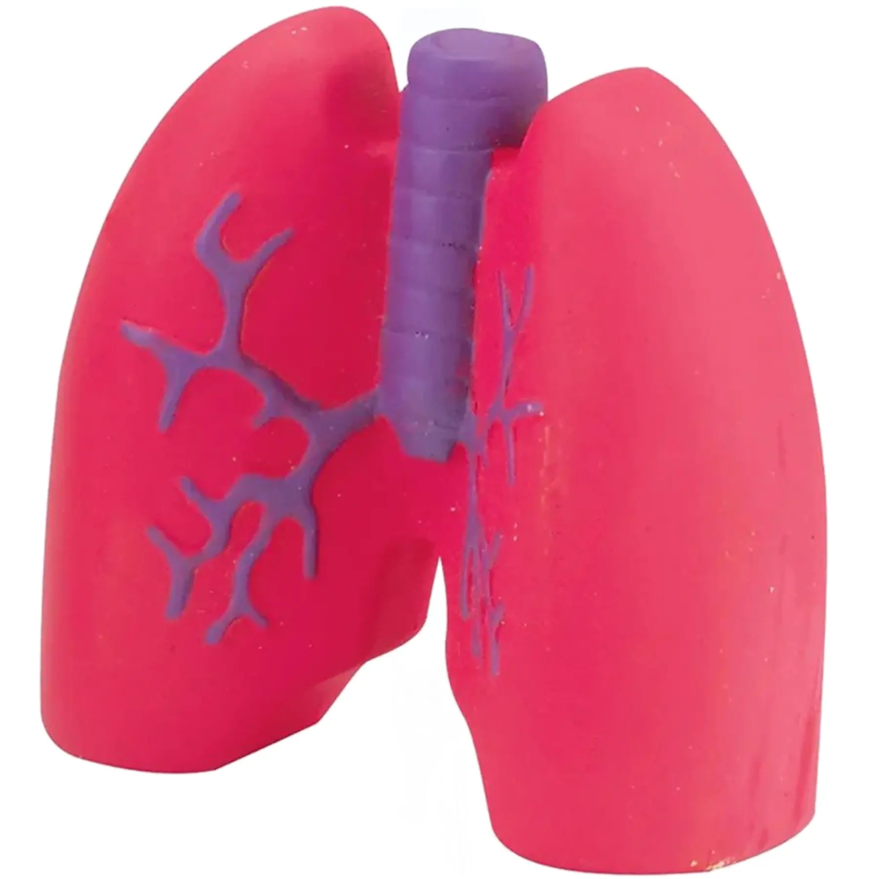 Custom Lung Stress Ball