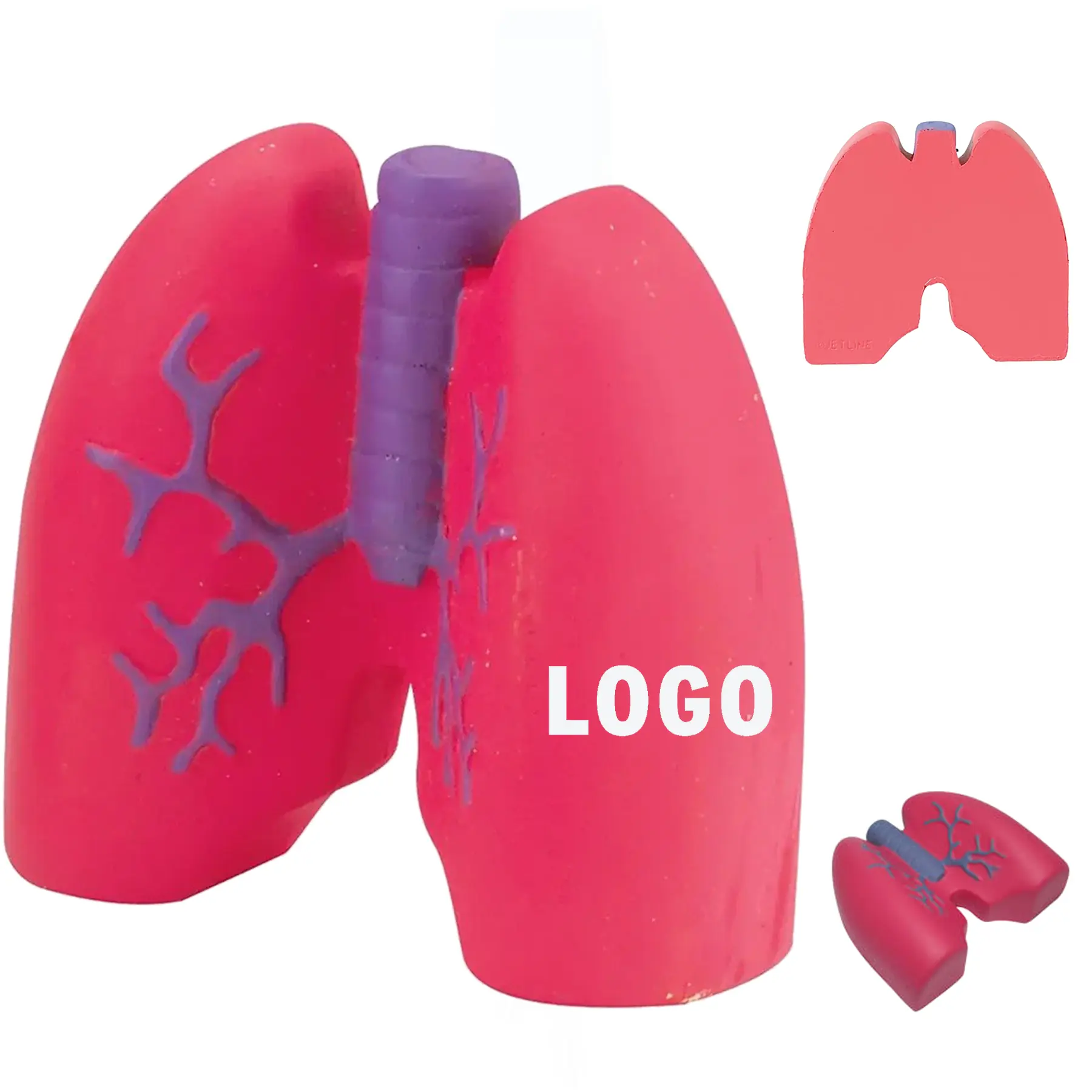 Custom Lung Stress Ball 2